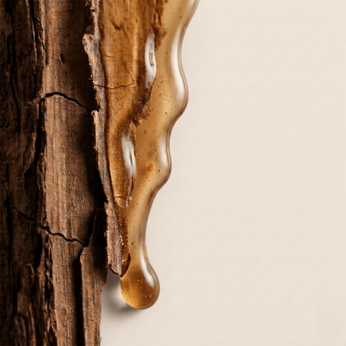 Siła naturalnego składu kosmetyków Tierra Natural - olejek z balsamu copaiba.